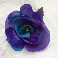 ROSE-teint-bleu-et-violet-rotated