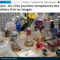 Journées Européennes des Métiers d'Art 2018Fleurs AM*F en soie et papier